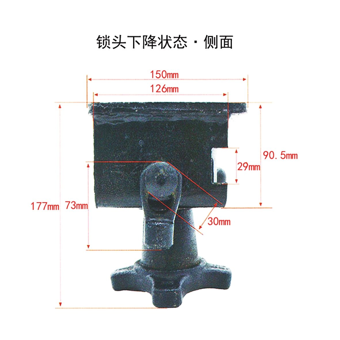Container Rotary Lock - 图片 3